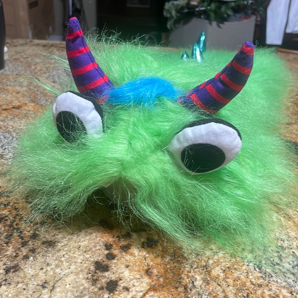 Dog costume